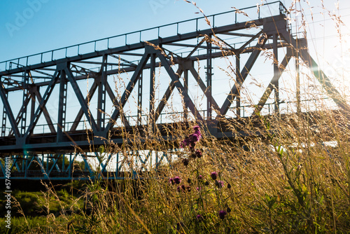 Wild field herbs and flowers against the background of the metal structure of the old railway bridge