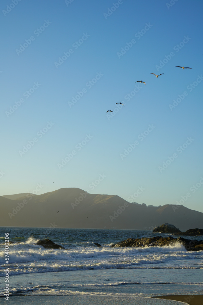 View of the birds flying over Baker Beach in San Francisco, California