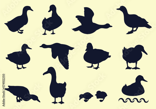 Silhouettes of wild and domestic ducks  Ducks in flight. Vector animals in bundles and sets  