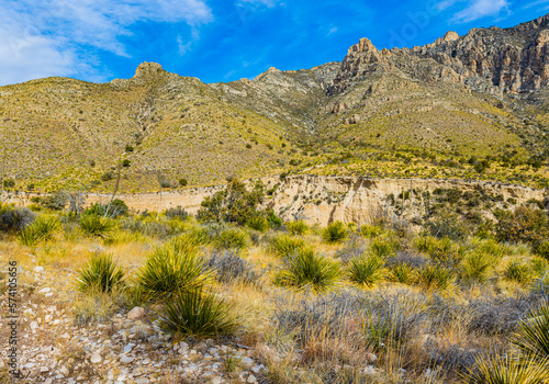 The Devil's Hall Trail in Pine Springs Canyon, Guadalupe Mountains National Park, Texas, USA