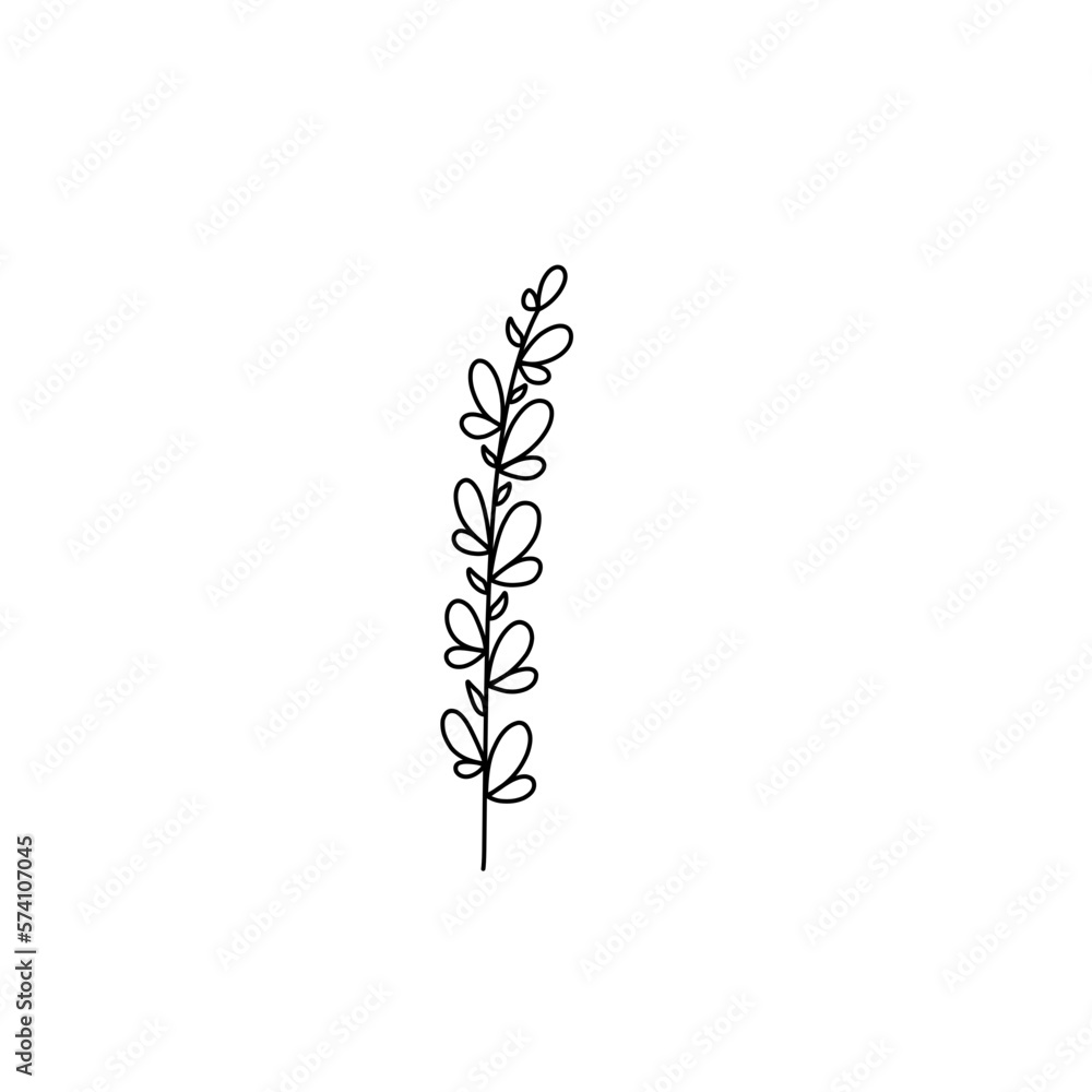 Illustration of flower line art vector Illustration of flower line art vector