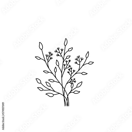 Illustration of flower line art vector