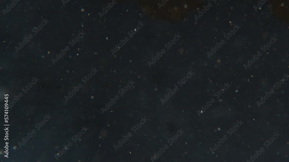 Abstract white particles float in water Abstract white particles float in water