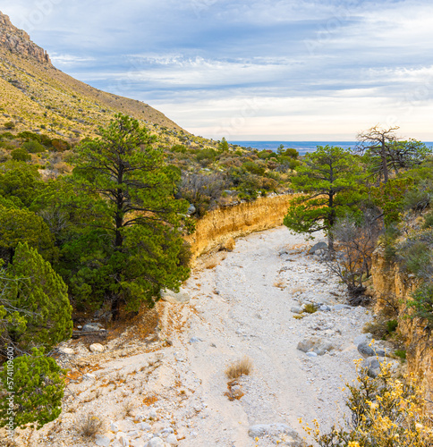Sunrise on Pine Springs Canyon  Devil s Hall Trail  Guadalupe Mountains National Park  Texas  USA