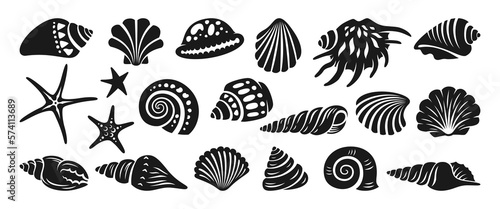 Sea shell sink engraving monochrome set. Ocean exotic underwater seashell conch aquatic mollusk, sea spiral snail marine starfish collection. Tropical beach shells nature aquatic design illustration