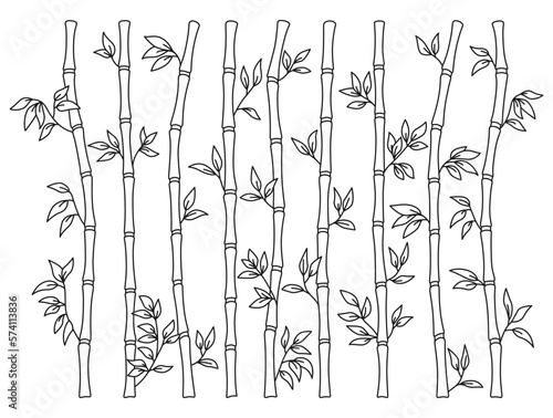 Fototapeta Naklejka Na Ścianę i Meble -  Bamboo stem and leaf outline border set. Exotic decoration elements fresh natural plant linear sketch style. Hand drawing painted Asian traditional tree leaves, sticks bamboo botanical collection