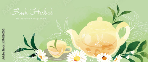 Botanical herbal watercolor background vector. Hand drawn fresh aromatic chamomile flowers, leaf branch and tea set. Natural garden floral design for wallpaper, cover, advertising, healthcare product.