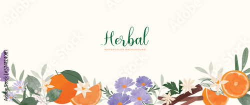 Botanical herbal watercolor background vector. Fresh aromatic lavender, daisy flowers, orange, cinnamon. Natural garden floral design for wallpaper, cover, advertising, healthcare product, cosmetics.
