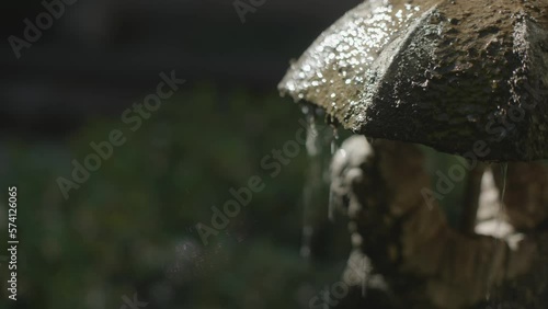 Wallpaper Mural Water fountain trickling in nature Torontodigital.ca