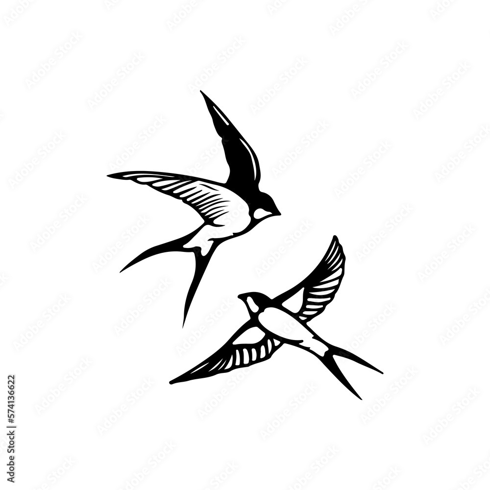 Obraz premium vector illustration of two swallows