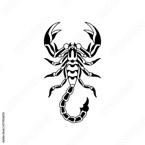 vector illustration of a black scorpion