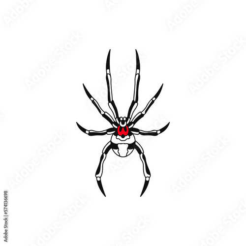 vector illustration of a spider