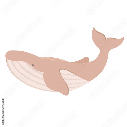 whale