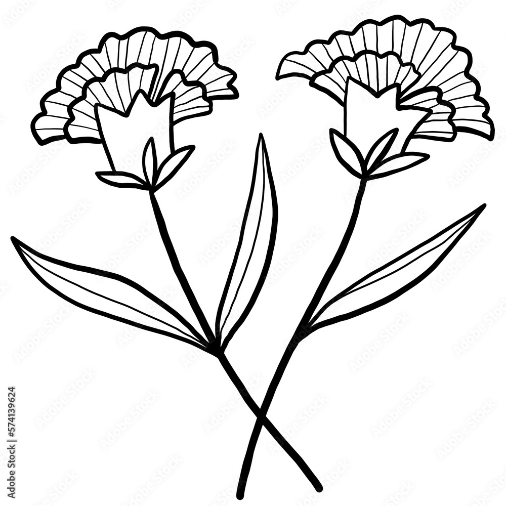 Carnation flower parent's day illustration