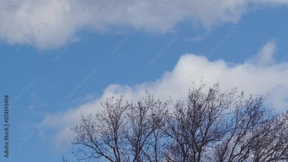 time lapse of fast moving white clouds over bare trees time lapse of fast moving white clouds over bare trees