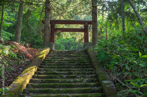 苔の階段