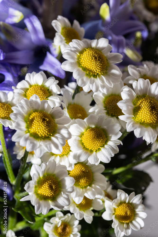 Obraz premium Beautiful bouquet in a vase illuminated by a flash
