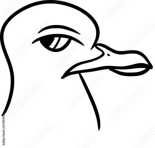 Vector drawing of a seagull with funny, silly face. Outline, silhouette. Hand-drawn in cartoon style, flat, doodle, isolated, black and white. Just head. Bird looking backwards, with contempt, angry