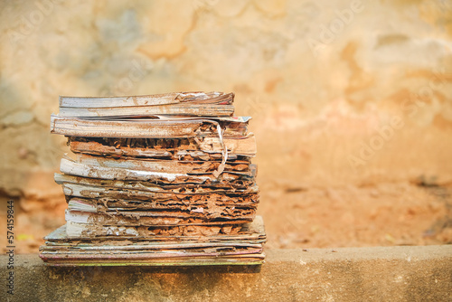 books eaten by termites