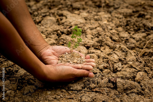 hand touching planting small plants with soil environmental science with new future technology business planning development and conservation protection