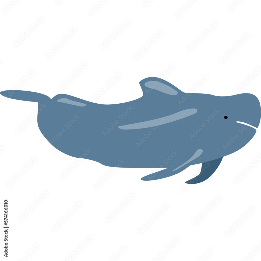 Whale Illustration-08 Whale Illustration-08