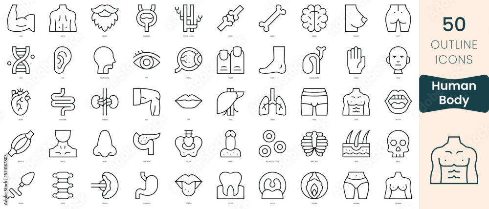 Set of human body icons. Thin linear style icons Pack. Vector Illustration Set of human body icons. Thin linear style icons Pack. Vector Illustration