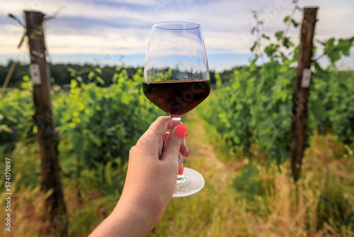 Woman s hand holding a glass of red Chianti wine at a vineyard with a scenic background of green grape vines in the famous Tuscany region, Italy