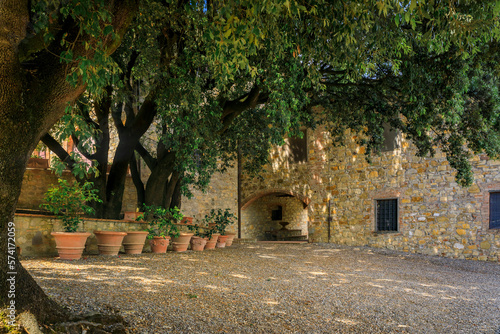 Fotografiet Ivy covered old stone house at a vineyard in the famous wine producing Chianti R