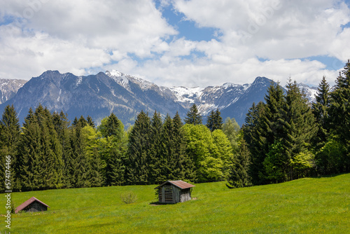 Wunderschönes Alpenpanorama mit Blumen und einer Hütte