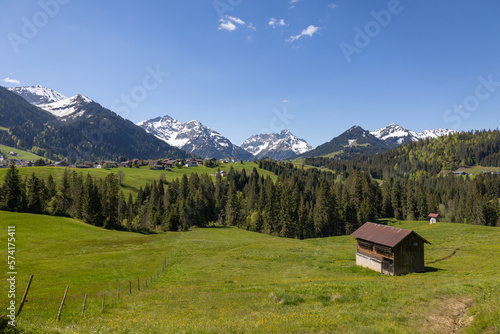 Alpenpanorama mit Blumen  Bergen und einer Holzh  tte