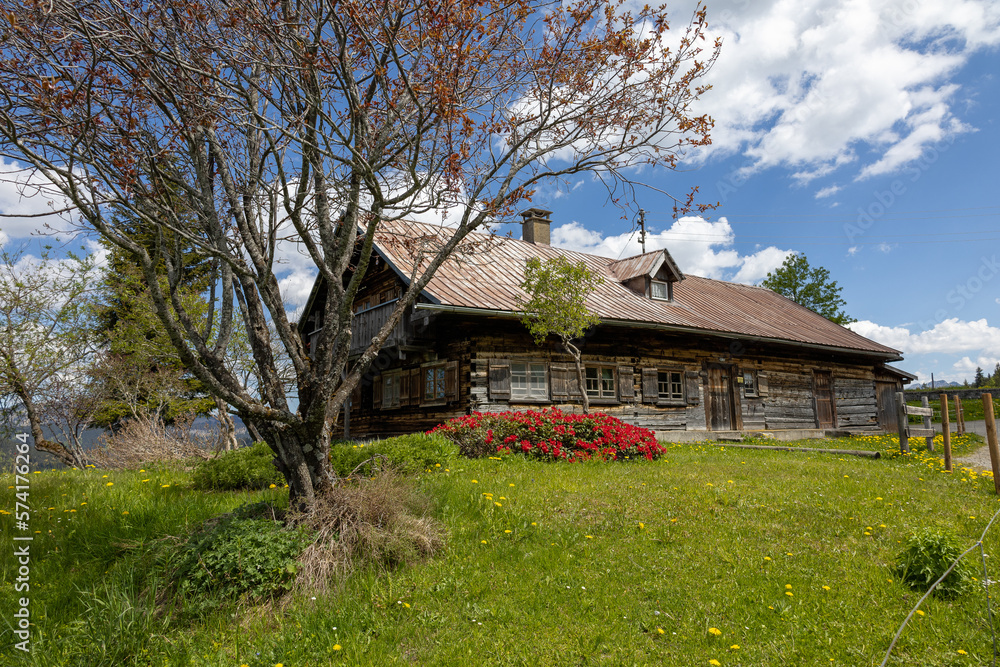 Wunderschönes Alpenpanorama mit Blumen und einer Hütte Wunderschönes Alpenpanorama mit Blumen und einer Hütte