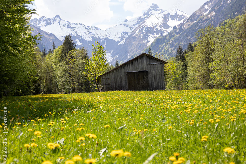 Fototapeta premium Wunderschönes Alpenpanorama mit Blumen und einer Hütte