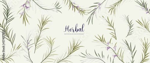 Botanical herbal watercolor background vector. Fresh aromatic hand drawn rosemary leaf branch. Natural decorative garden floral design for wallpaper, cover, advertising, healthcare product, cosmetics.