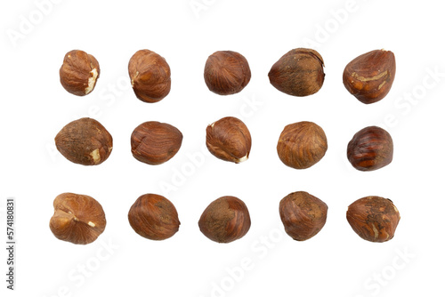 dried hazelnuts with rough brown crust without shell, top view, transparent background / flat lay