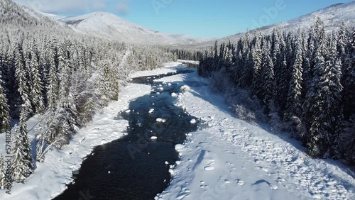 cold river tream with snow and sunshine surrounded by forest, aerial video photo