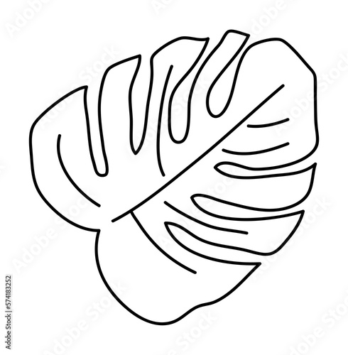 Monstera palm leaf doodle vector © TWINS DESIGN STUDIO