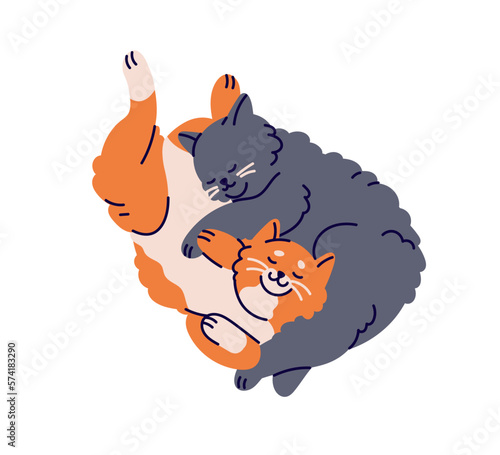 Cute cats couple sleeping, hugging. Happy sweet sleepy lazy kitties in love l...