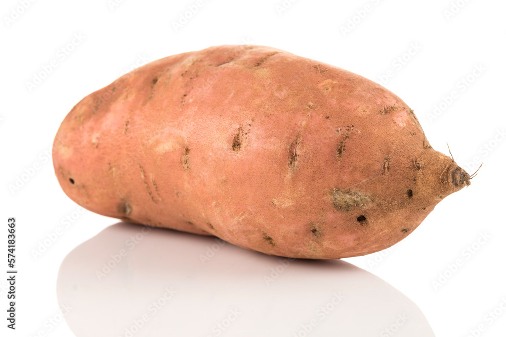 Sweet potato on the white background Sweet potato on the white background