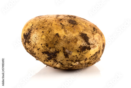 Dirty potato isolated on white background.