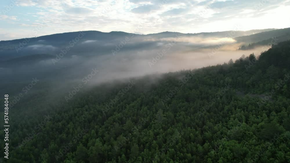 Scenic Foggy Rural, foggy forest morning sunrise, majestic woodland, sunset view in deep forest, drone footage of the greenery forestland Scenic Foggy Rural, foggy forest morning sunrise, majestic woodland, sunset view in deep forest, drone footage of the greenery forestland