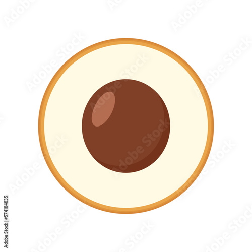 Longan vector. Summer tropical fruits for healthy lifestyle. Longan fruit. Vector illustration cartoon flat icon isolated on white.