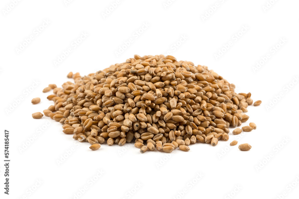 Wheat grain on white Wheat grain on white