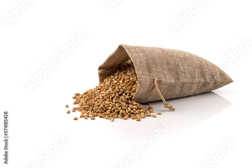 whole background of wheat grain