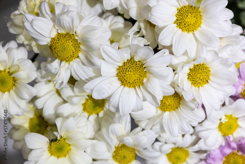 Bouquet of flowers of different types and color shades