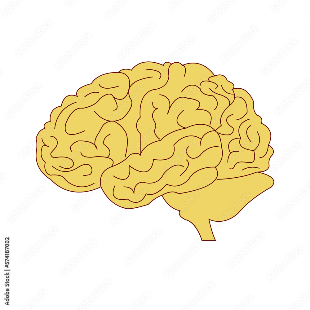 sign of the brain symbol sign of the brain symbol