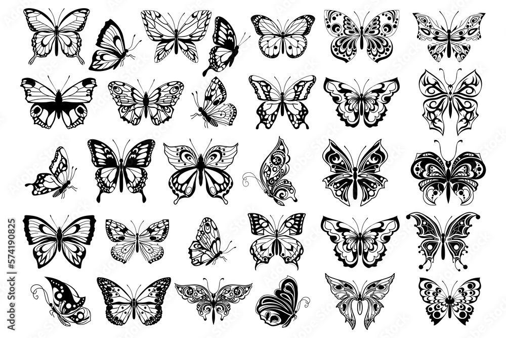 butterflies contour drawings set butterflies contour drawings set