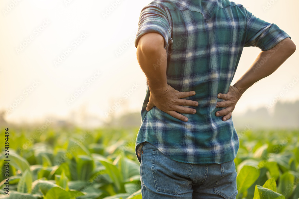 Injuries or Illnesses, that can happen to farmers while working. Man is using his hand to cover over waist because of hurt,  pain or feeling ill.