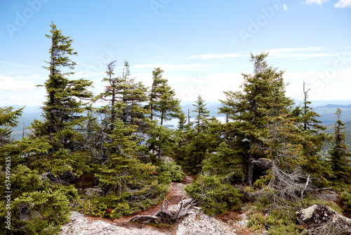 Looking due north towards Flagstaff Lake through the trees. Picture taken about 1 mile from the summit of West Bigelow Mt along the Appalachin Trail. photo