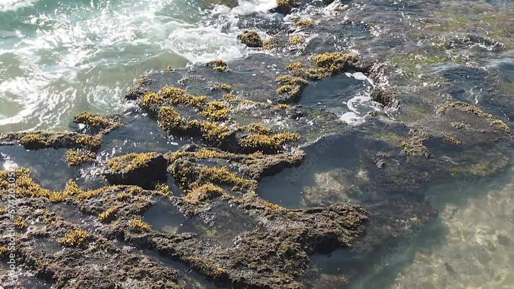 Sea water washing over a mossy reef. Sea water washing over a mossy reef.