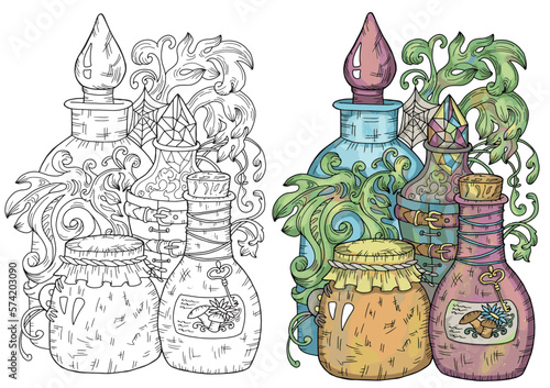 Vector Mystic illustration with occult, esoteric and gothic symbol of witch bottle of potion and herbs isolated on white, black and white and colorful set of mysterious emblem and Halloween concept